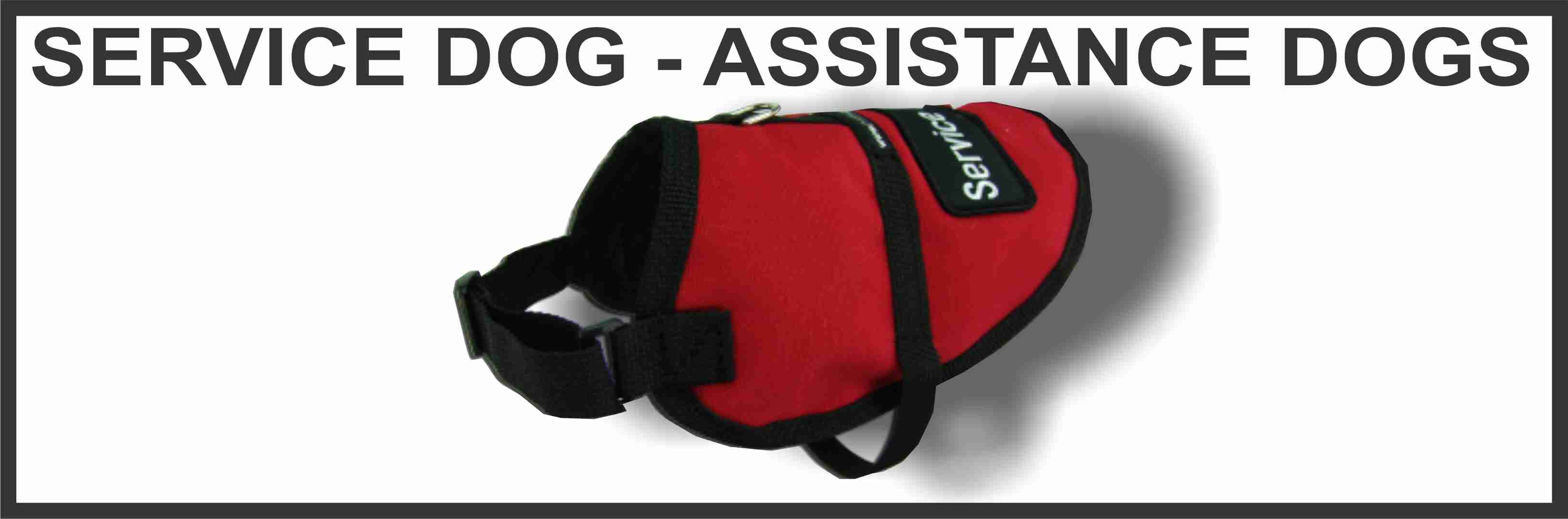 Assistance and Service Dogs